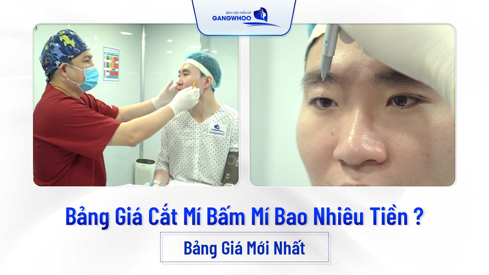 bang gia cat mi bam mi bao nhieu tien