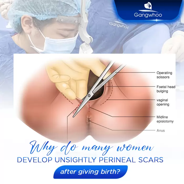 en sua seo tang sinh mon 2