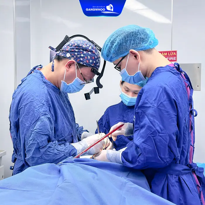 got cam noi soi vi phau 1