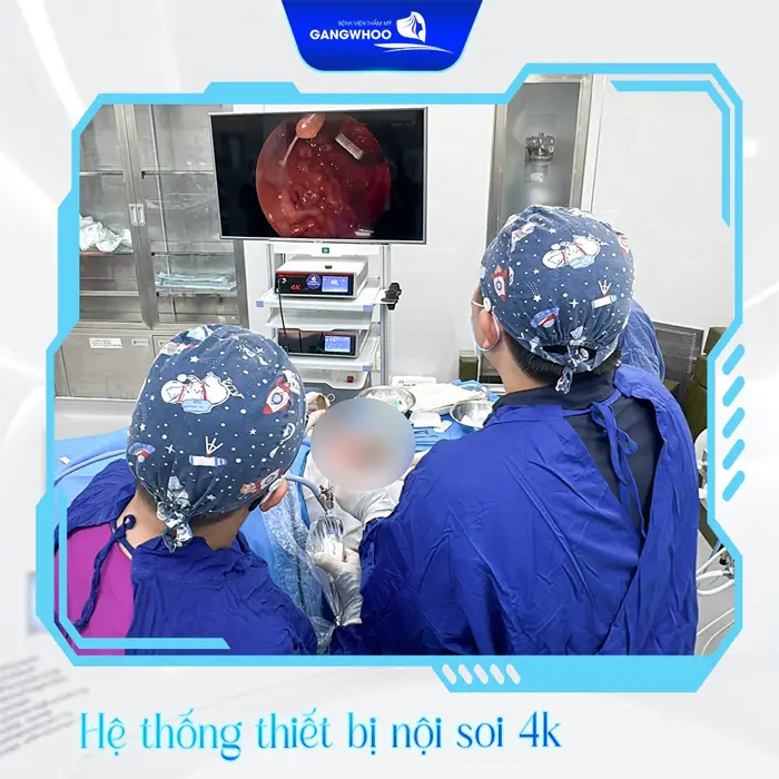 got xuong goc cam 8284