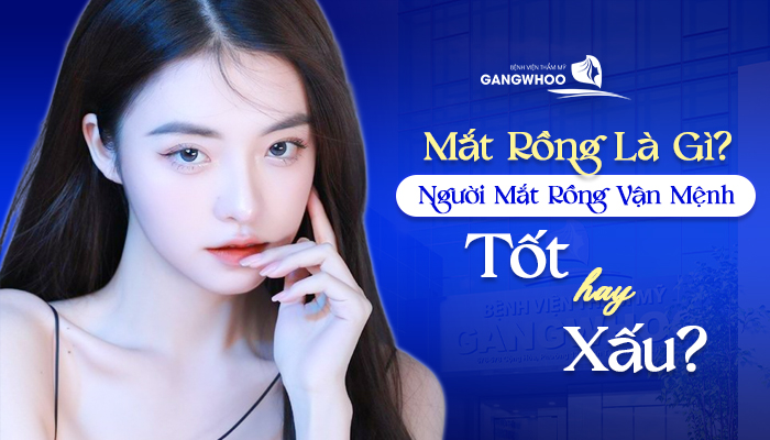 mat rong la gi