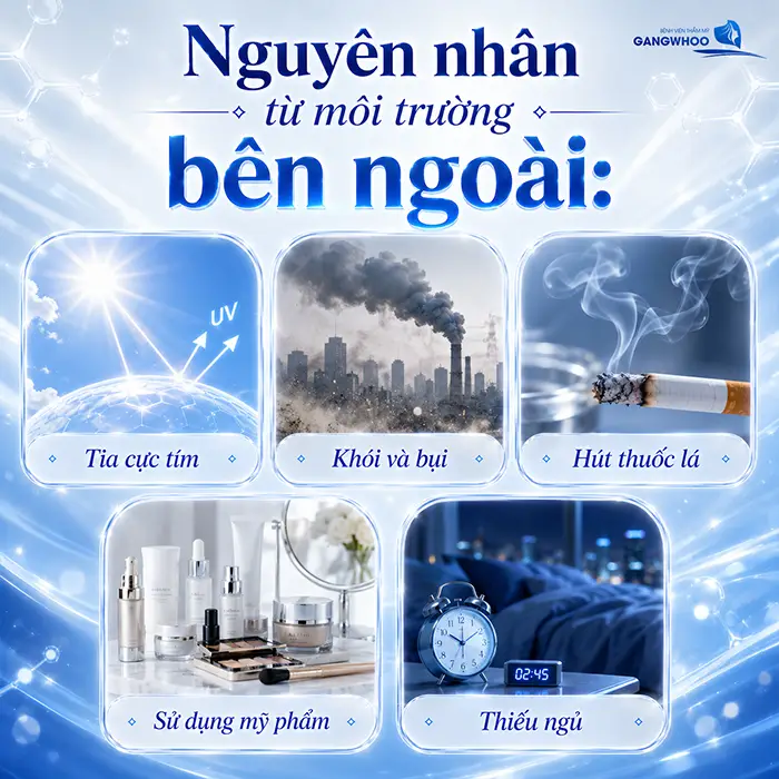 10 Cách Làm Căng Da Mặt Tự Nhiên Hiệu Quả Tại Nhà