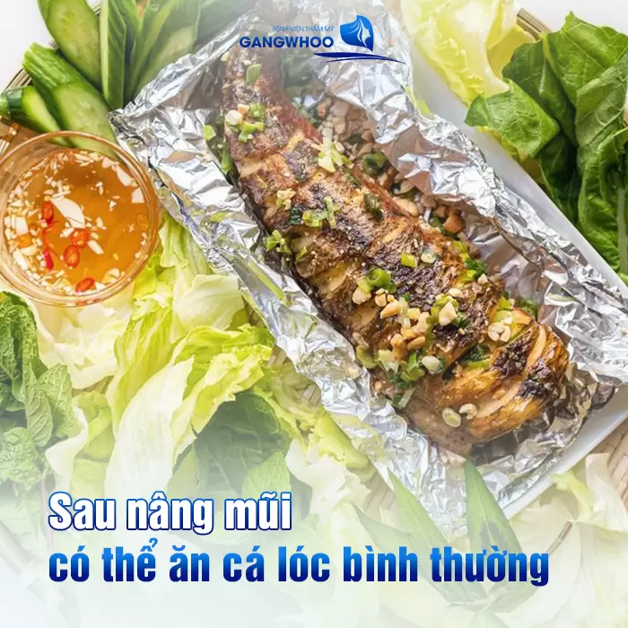 Phẫu Thuật Nâng Mũi Có Ăn Được Cá Lóc Không? 1 Sau nâng mũi có thể yên tâm ăn cá lóc một cách bình thường mà không cần lo ngại
