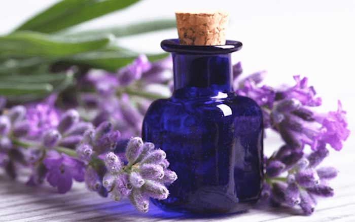 Pitted scars treatment with lavender oil