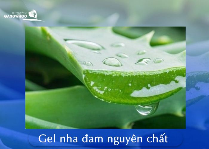 Top 5 Cách Dùng Nha Đam Trị Sẹo Lồi Hiệu Quả Tại Nhà 8 Nha Đam Trị Sẹo Lồi