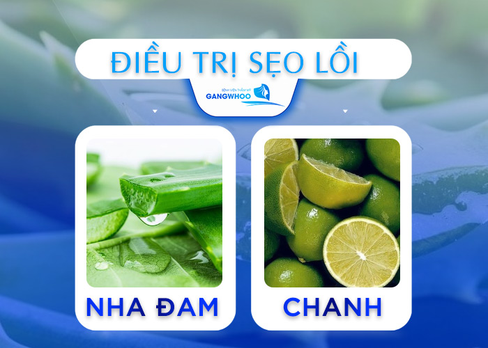 Top 5 Cách Dùng Nha Đam Trị Sẹo Lồi Hiệu Quả Tại Nhà 9 Nha Đam Trị Sẹo Lồi