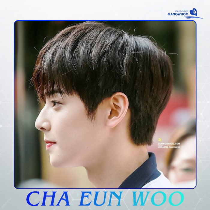 cha eun woo