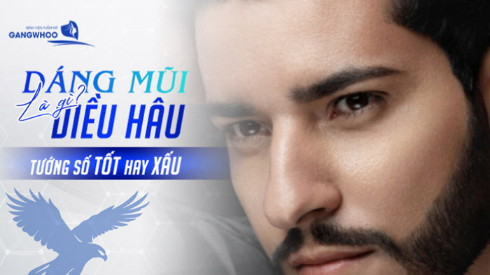 Dáng Mũi Diều Hâu Là Gì? Tướng Số Tốt Hay Xấu? 6 mũi diều hâu