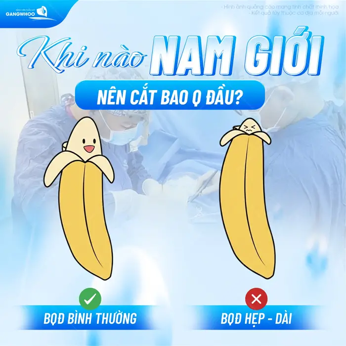 cat bao quy dau o nam gioi