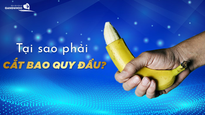 tai sao phai cat bao quy dau