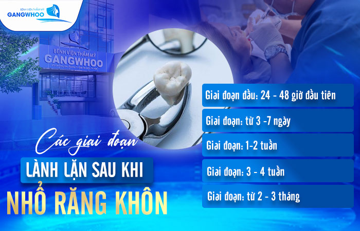 Nhổ Răng Khôn Bao Lâu Thì Lành? Cách Chăm Sóc Nhanh Lành 2 Nhổ Răng Khôn Bao Lâu Thì Lành