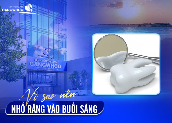 Nên Nhổ Răng Vào Lúc Nào? Sáng Hay Chiều Là Tốt 8 Nên Nhổ Răng Vào Lúc Nào