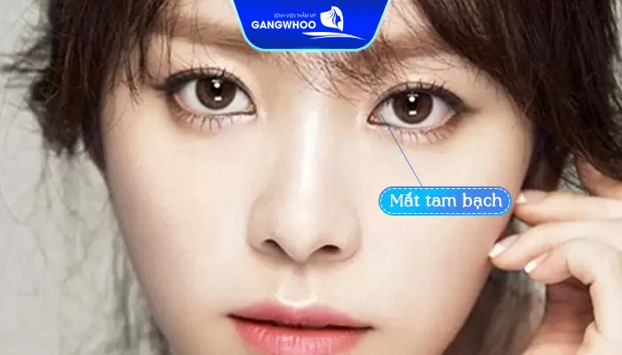 Mắt Tam Bạch Là Gì? Tướng Số Người Có Mắt Tam Bạch 19 Mắt tam bạch tượng trưng cho sự giàu có và thịnh vượng