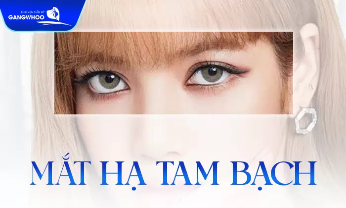 Mắt Tam Bạch Là Gì? Tướng Số Người Có Mắt Tam Bạch 16 Mắt hạ tam bạch dễ nhận dạng khi có 3 vùng trắng nắm dưới đồng tử