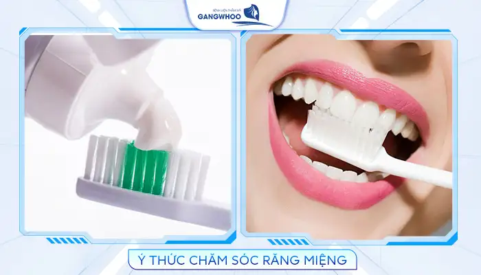 Cấy Ghép Implant Mất Bao Lâu? 5 Yếu Tố Ảnh Hưởng 12 Cấy Ghép Implant Mất Bao Lâu