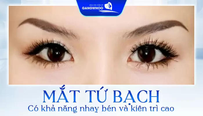 Mắt tứ bạch ở nữ giới là người thường có khả năng nhạy bén và kiên trì cao
