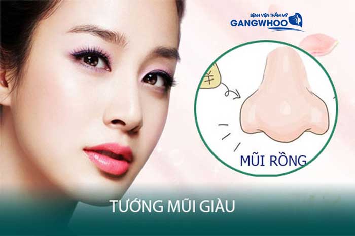 Mũi Rồng Là Như Thế Nào? Đặc Điểm Mũi Rồng Trong Nhân Tướng Học – Bệnh ...