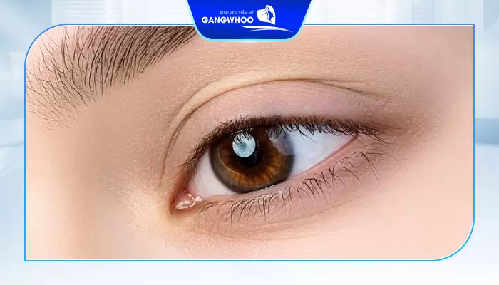 Mắt Phượng Và Mắt xếch Khác Nhau Như Thế Nào? 11 Mắt phượng điểm nhấn cho đôi mắt đẹp thể hiện sự mạnh mẽ và kiên định