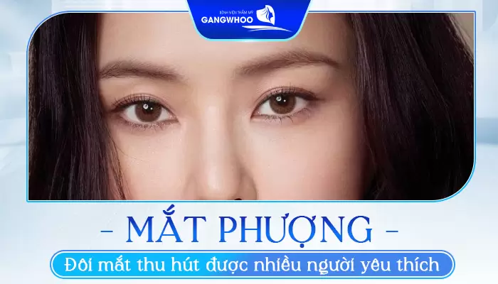 Mắt Phượng Và Mắt xếch Khác Nhau Như Thế Nào? 13 Mắt phượng là đôi mắt luôn tạo điểm nhấn thu hút và ấn tượng cho người đối diện