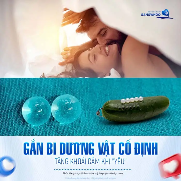 Gắn Bi Dương Vật Cho Nam Là Gì? Chi Phí Bao Nhiêu?