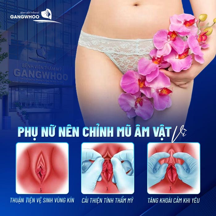 Chỉnh Mũ Âm Vật Là Gì? Tại Sao Phụ Nữ Nên Thực Hiện Sớm 11 Chỉnh Mũ Âm Vật