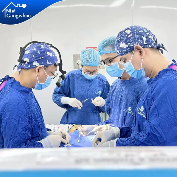 Phẫu Thuật Nâng Mũi Nội Soi 4K Là Gì? Ưu Điểm Và Chi Phí Năm 2025 14 Đội ngũ ekip bác sĩ thực hiện 1 ca nâng mũi tại Bệnh viện thẩm mỹ Gangwhoo