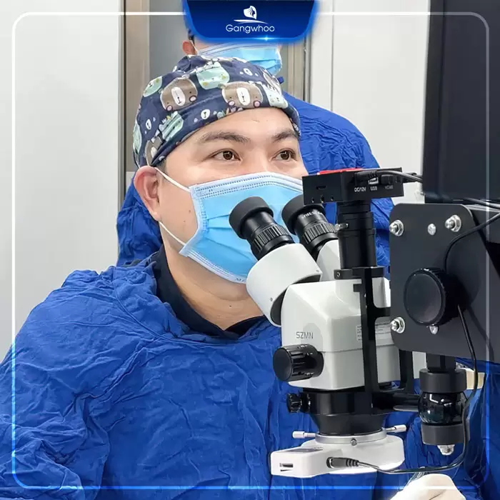 ms cat mi perfect 11