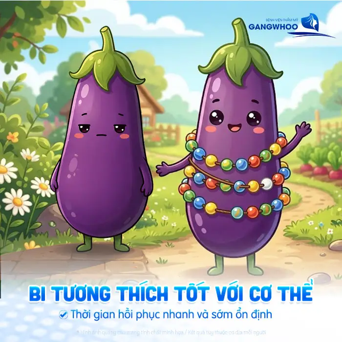 6 Loại Bi Dùng Gắn Bi Dương Vật Thường Dùng Trong Y Khoa