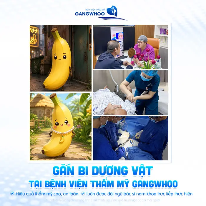 6 Loại Bi Dùng Gắn Bi Dương Vật Thường Dùng Trong Y Khoa