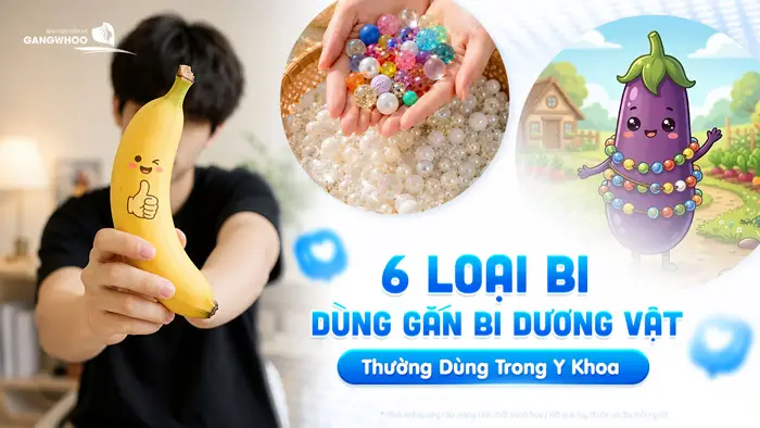 bi dung gan bi duong vat