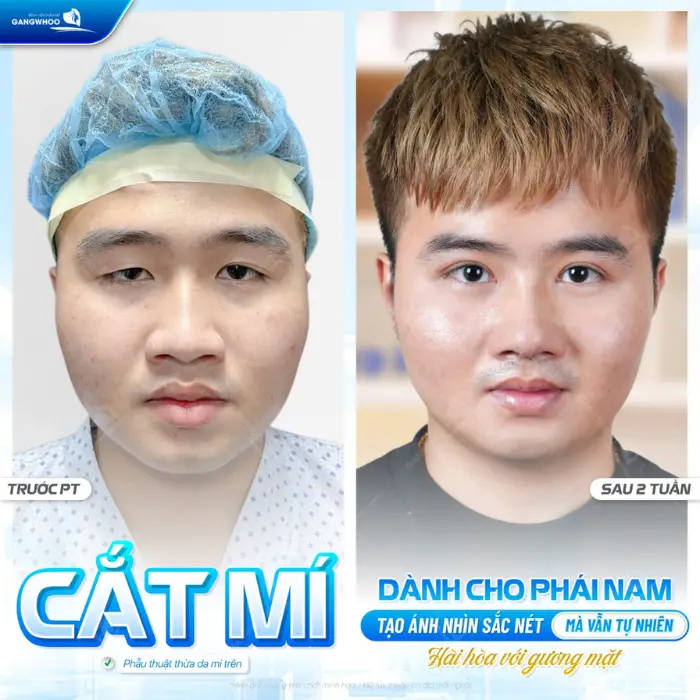 cat mi mat 12 1