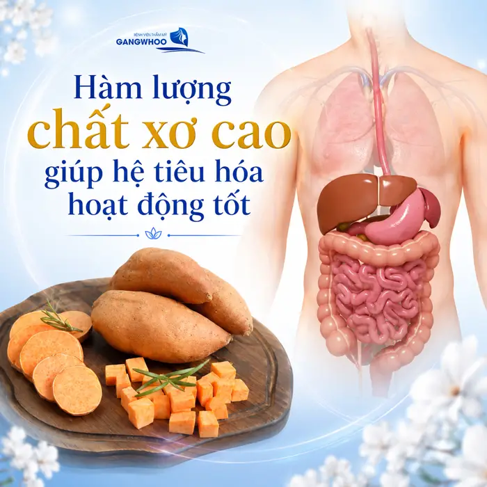 Nâng Mũi Có Ăn Được Khoai Lang Không? Những Lưu Ý Quan Trọng 3 Nâng Mũi Có Ăn Được Khoai Lang Không? Những Lưu Ý Quan Trọng